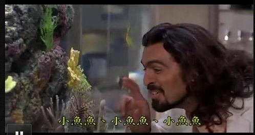 哈啦猛男秀,爆笑狂欢，揭秘男性社交新潮流